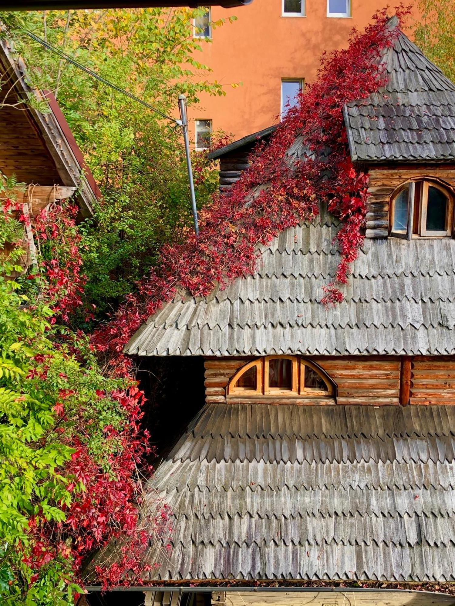 Casa Ieud - Catun Villa Sinaia Exterior photo